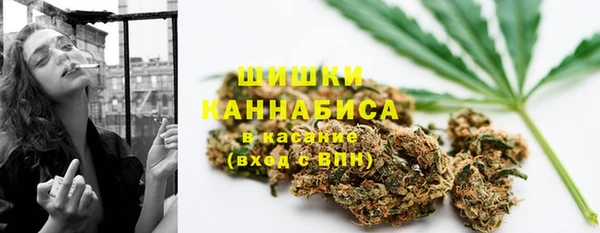 ПСИЛОЦИБИНОВЫЕ ГРИБЫ Навашино