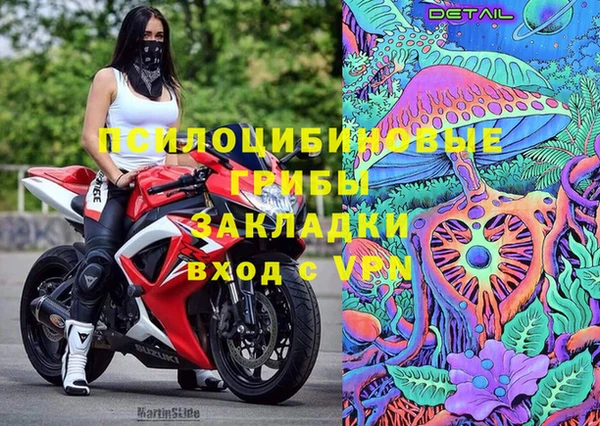 apvp Михайловск