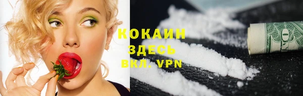 ПСИЛОЦИБИНОВЫЕ ГРИБЫ Навашино